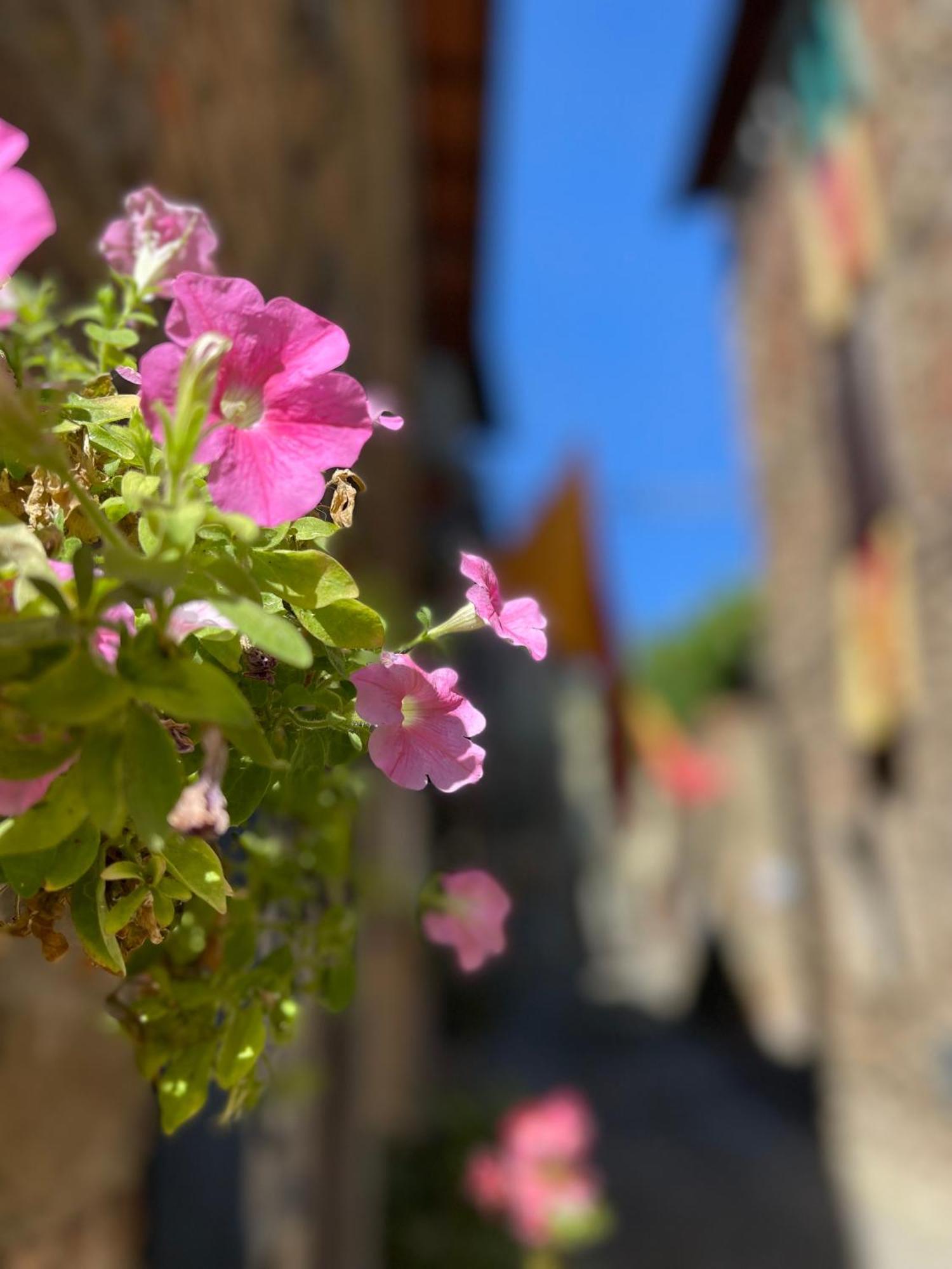 Ambra La Casa In Castelloヴィラ エクステリア 写真